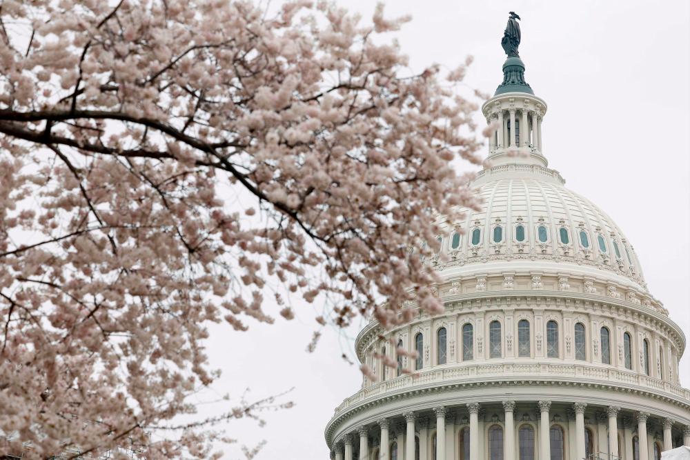 Cherry blossoms blooming on the grounds of the US Capitol in Washington on Monday, March 27, 2023. The Treasury undersecretary for domestic finance will testify before the Senate Banking Committee on Tuesday, March 28. – AFPpic