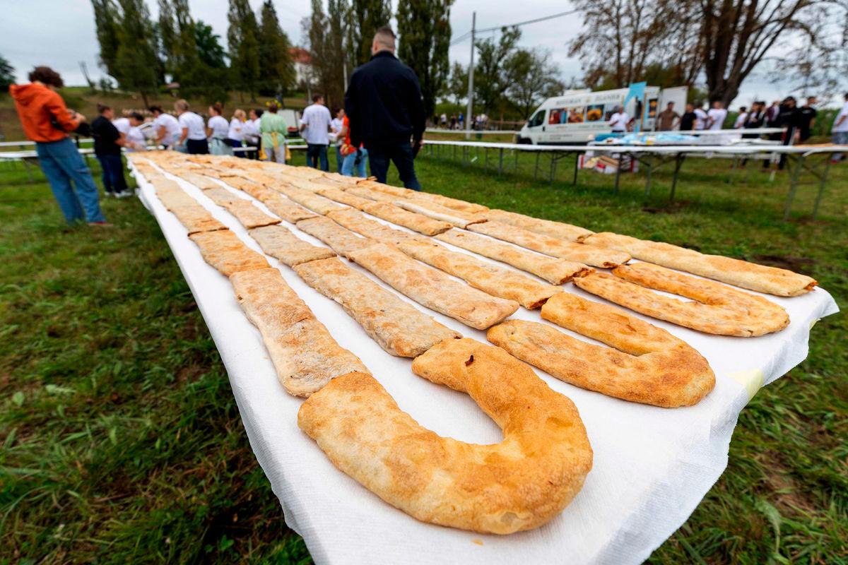 Seven rows of strudel on a table, during an attempt to set a Guinness World Record for the largest strudel in the world, in the village of Jeskovo near Karlovac, on September 6, 2025. With two tons of flower Croatia’s village on September 6, made it into the Guinness World Records with the mammoth three-kilometre (1.86-mile) long line of strudels, the world’s longest. The longest line of strudels achieved in the small village of Jaskovo consists of 8940 strudels measuring 3136,84 meters, announced Paulina Sapinska, a Guinness World Records adjudicator, after the measurement. (Photo by DAMIR SENCAR / AFP)
