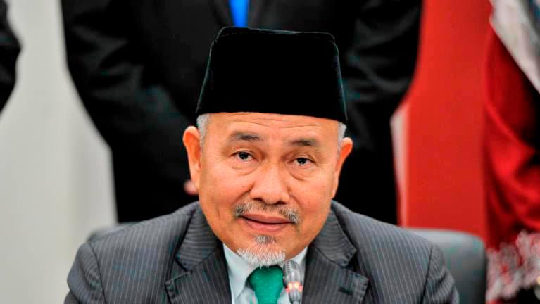 Logo PN, warna baharu elak kekeliruan dengan BN: Tuan Ibrahim
