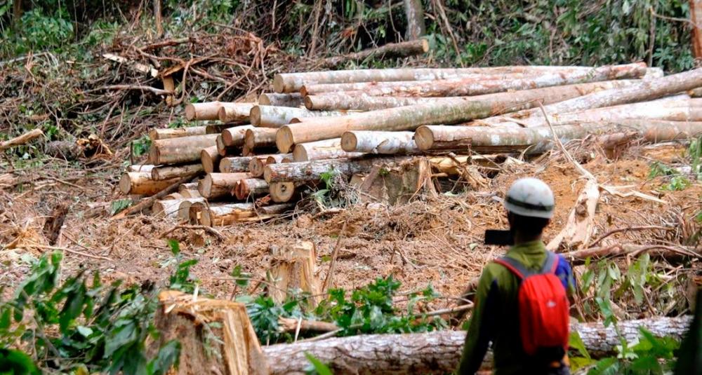 M’sia takes deforestation issues seriously: DPM