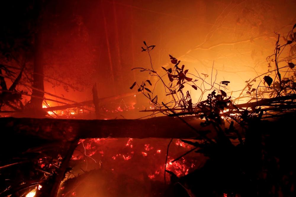 Burnt trees are pictured during a forest fire in Kapuas regency near Palangka Raya, Central Kalimantan province, Indonesia in October 2019. REUTERSPIX