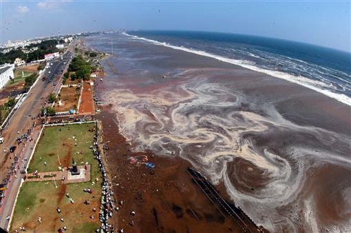 The aerial view of Marina beach after a tsunami triggered by an earthquake in the Indian Ocean hit the area in the southern Indian city of Madras on Dec 26, 2004. — Reuters