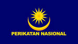 PN candidate for the Sungai Udang sacrifices medical career to enter politics