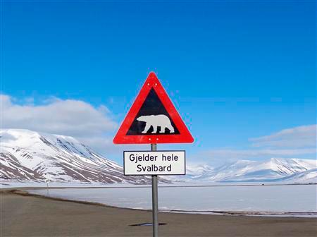 A sign warns residents of the arctic Svalbard islands in Norway of the danger from roaming polar bears. REUTERSPIX