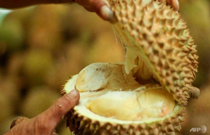 Go online to sell durians, traders urged