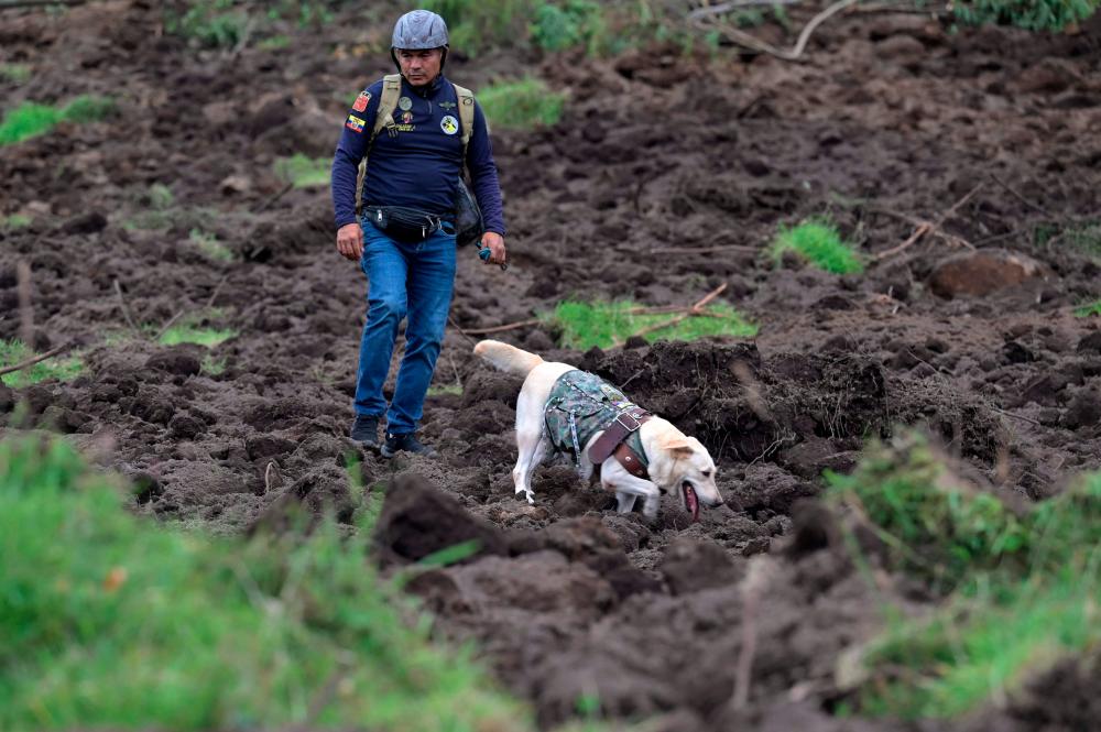 A rescuer with a sniffer dog search for victims following a landslide in Alausi, Ecuador on March 27, 2023. AFPPIX