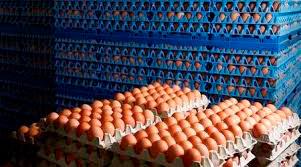A drop in demand for eggs as a result of movement restrictions.