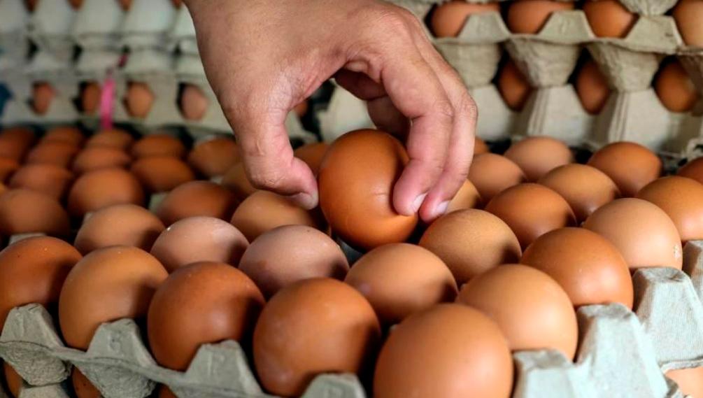 Floating chicken and egg prices will provide further savings of RM2 billion. – Bernama filepic