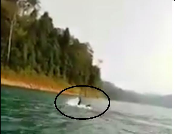 Screenshot of the video.