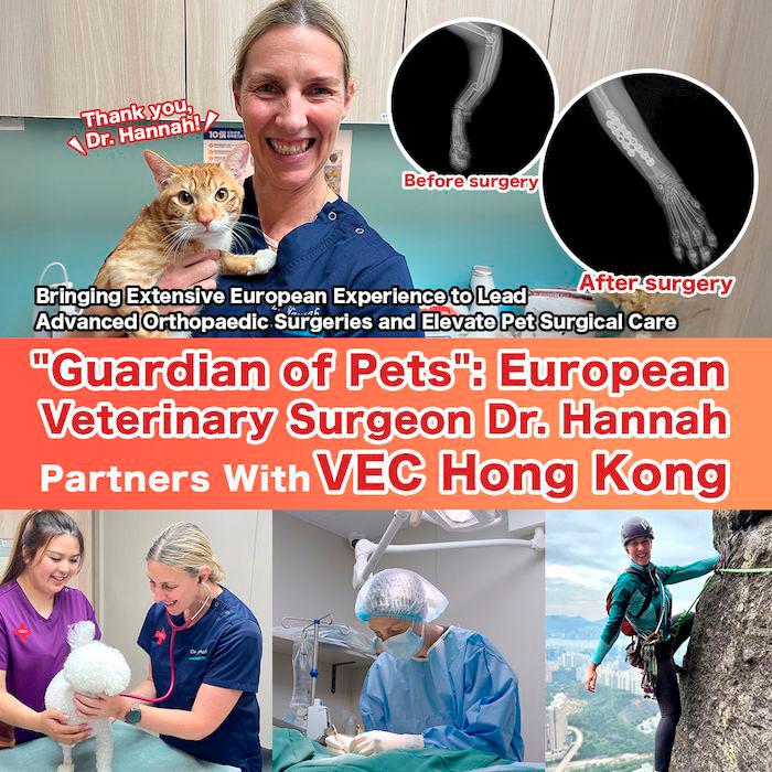 “Veterinary Orthopedic Guardian”: European Veterinary Surgeon Dr. Hannah Partners With VEC Hong Kong