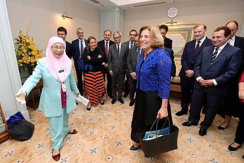 File picture of Deputy Prime Minister Dr Wan Azizah Wan Ismail (L) and EU Ambassador and Head of Delegation to Malaysia Maria Castillo Fernandez, on July 23, 2018. — Bernama