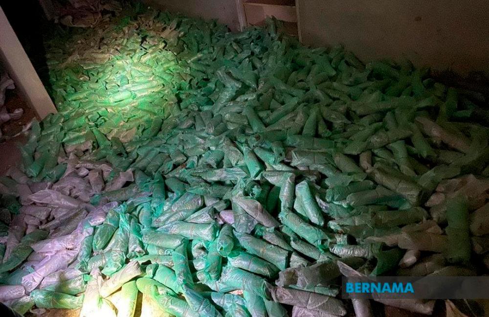 Perlis GOF seizes 1.05 tonnes of ketum leaves
