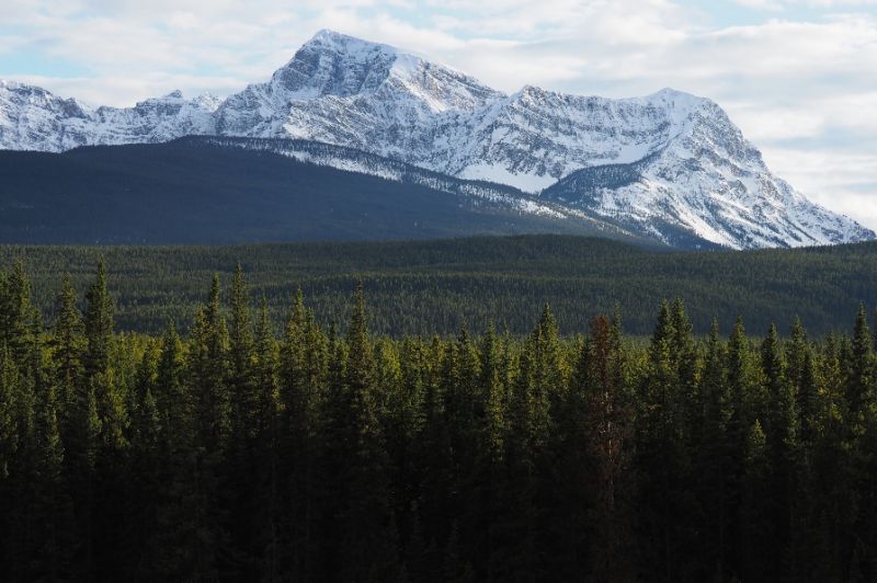 A view of Banff National Park in Canada, where the avalanche took place. — AFP