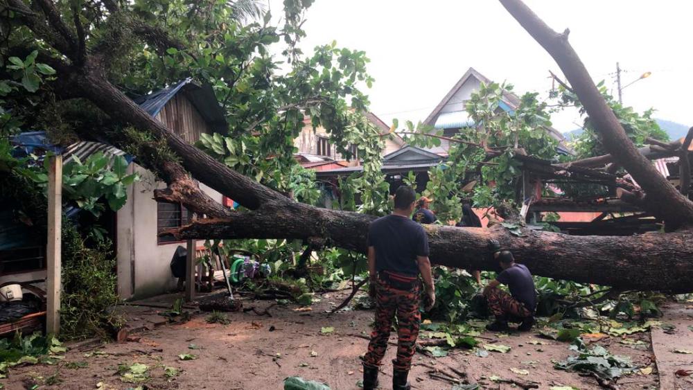 Officers from the Fire and Rescue Department at the house in Balik Pulai which was damage after a tree fell on it.