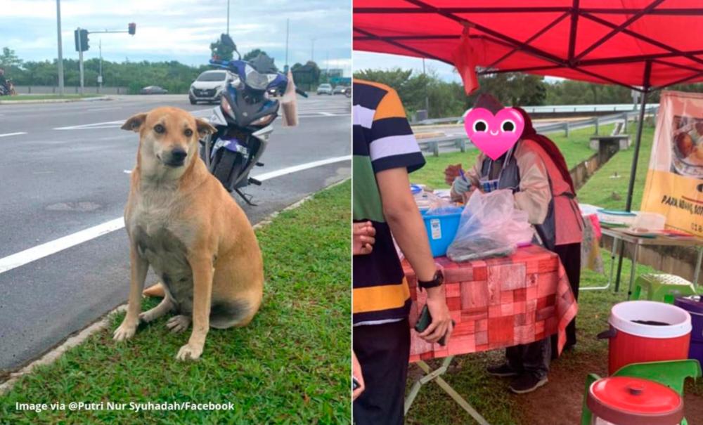 Dog gets free nasi lemak from mak cik’s stall daily