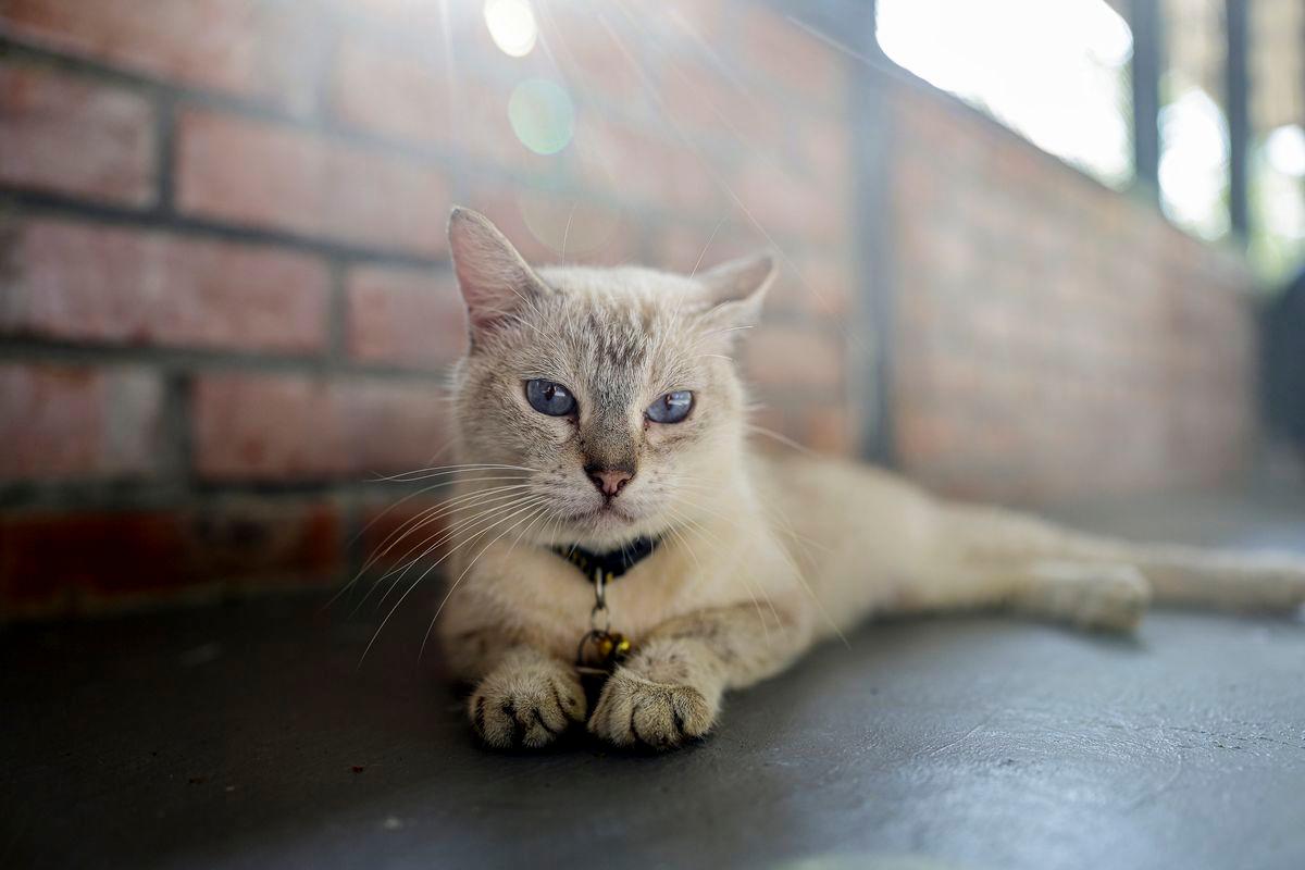 Gambar hiasan - fotoBERNAMA