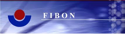 Fibon to explore financing solutions for car trading platform users