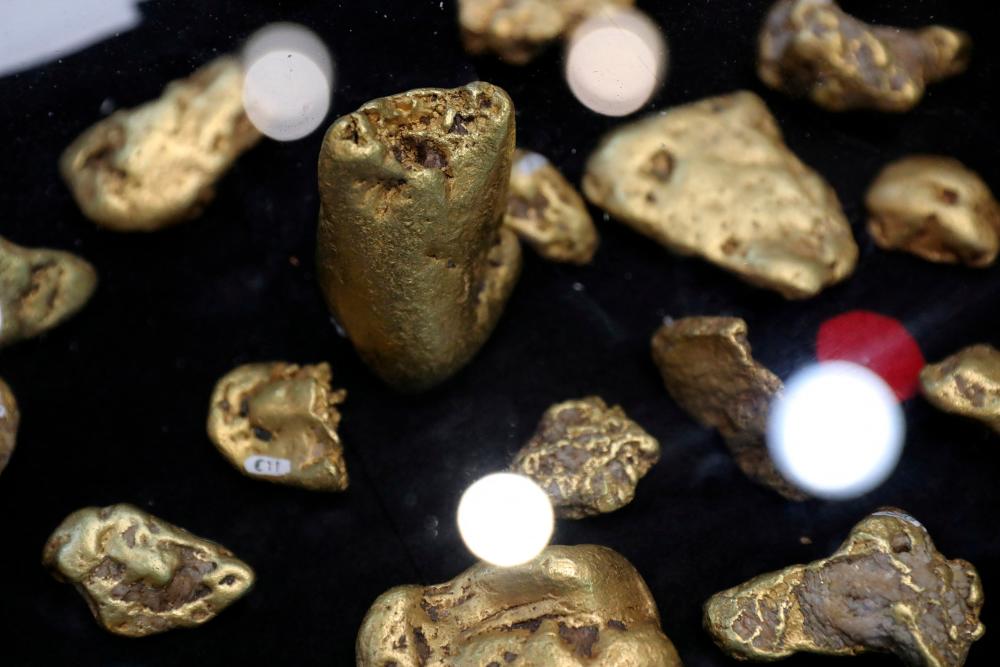 Gold nuggets on display. Gold prices fell to 2½-year lows last autumn but have since recovered to over US$1,850 as markets anticipate the end of rate increases.– Reuterspic