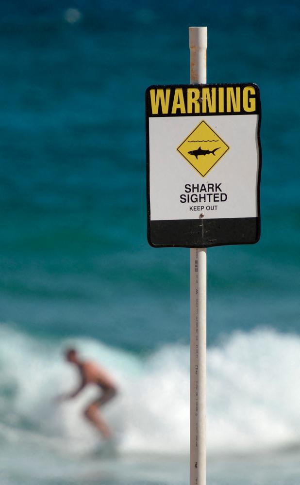 (FILES) A file photo taken January 17, 2015 shows a surfer seen in the water despite shark warning signs posted on the beach in the northern New South Wales city of Newcastle. – AFP