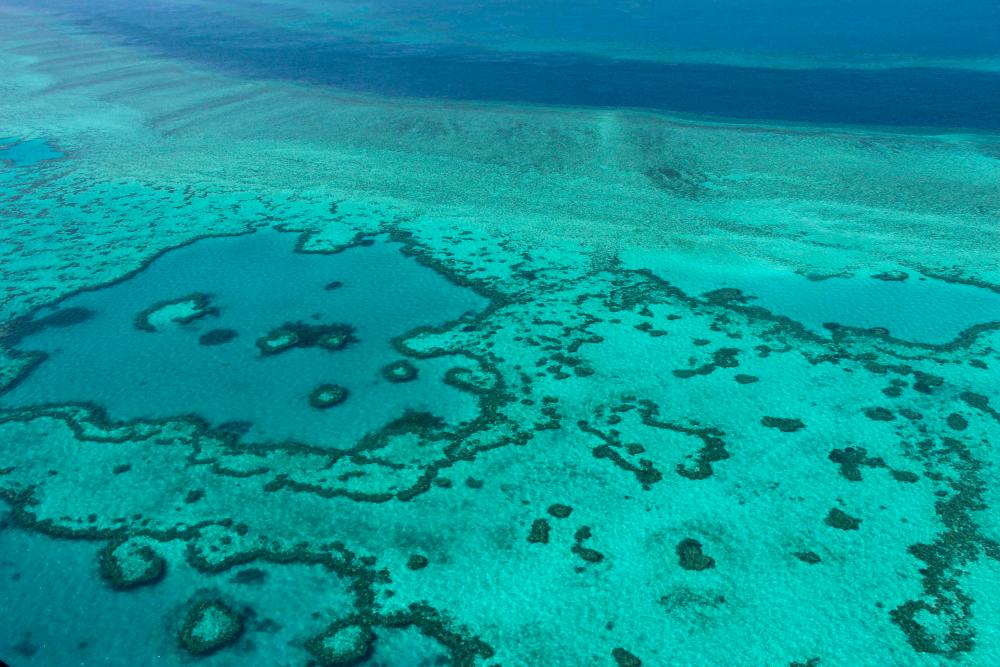 This file photo taken on November 20, 2014 shows an aerial view of the Great Barrier Reef off the coast of the Whitsunday Islands, along the central coast of Queensland. AFPPIX