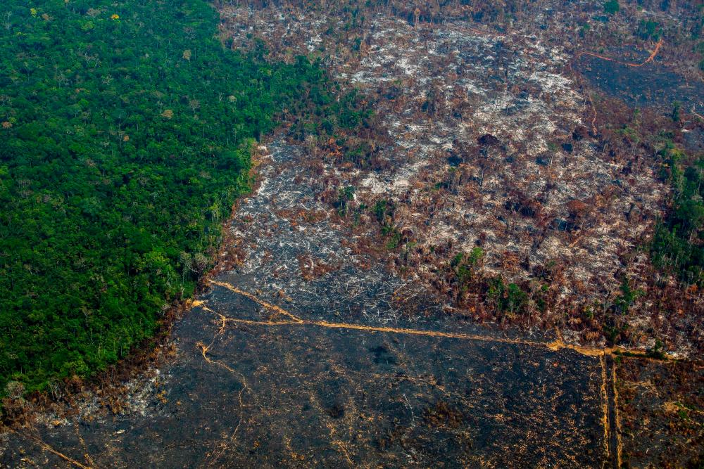 File photo taken on Aug 28, showing an aerial view of deforestation in Nascentes da Serra do Cachimbo Biological Reserve in Altamira, Para state, Brazil, in the Amazon basin. — AFP