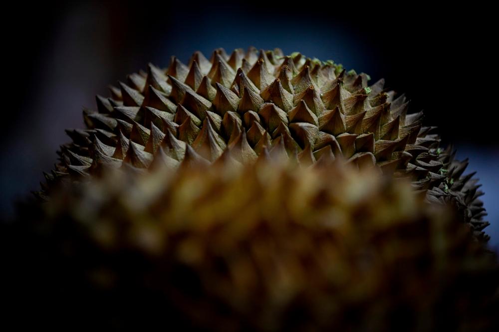 This file photo taken on January 18, 2019 shows durians on display at an eatery stall specialising in the fruit in Beijing. Disney’s Shanghai theme park said on September 11, 2019 it is loosening a ban on outside food in the wake of a lawsuit, but the home of Mickey Mouse still won’t tolerate visitors taking in instant noodles or pungent foods such as durian. -