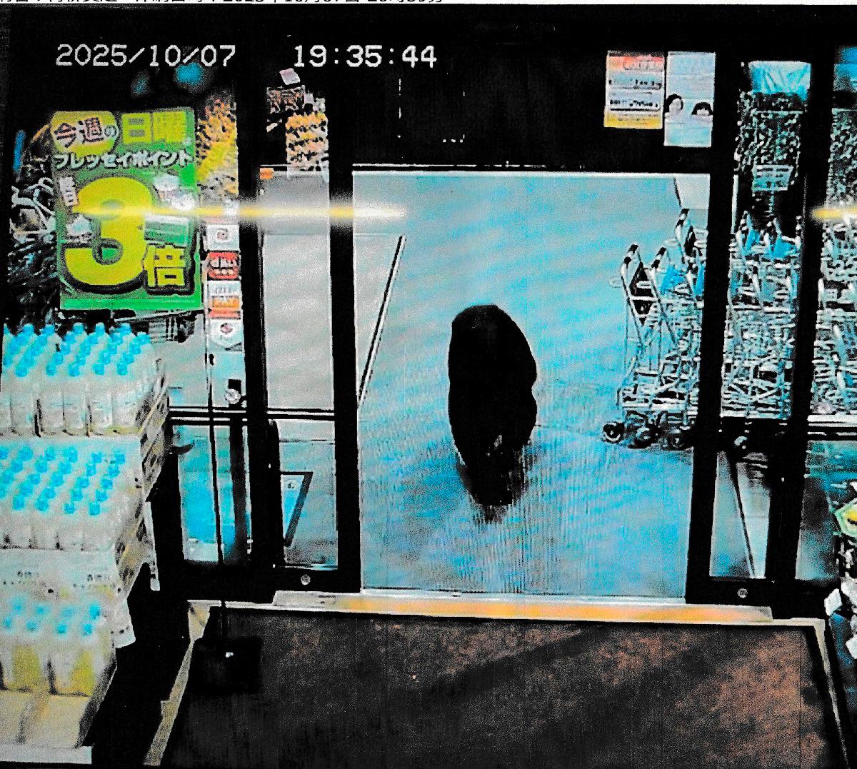 CCTV camera footage of a bear walking inside a supermarket in Numata, Gunma prefecture. - AFP PHOTO / GUNMA PREFECTURAL POLICE VIA JIJI PRESS