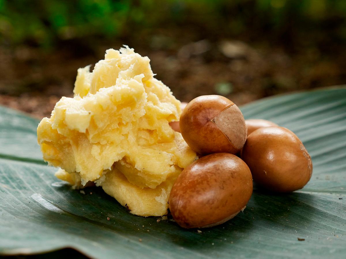 (FILES) Shea butter and shea nuts are displayed on a green leaf in Jos on September 15, 2019. - Ifiok Ettang / AFP