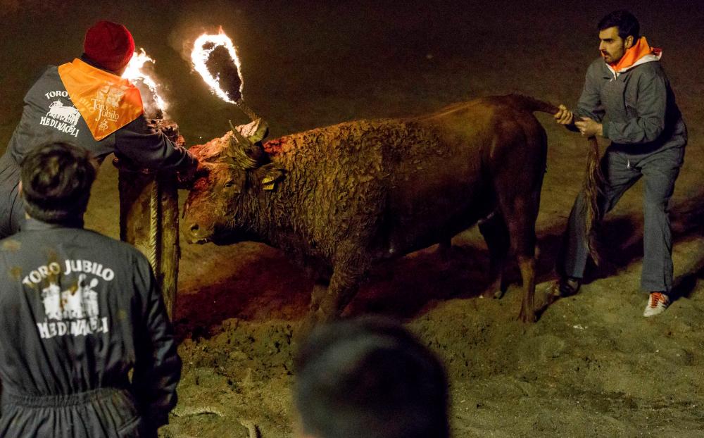 (FILES) In this file photo taken on November 12, 2017 revellers attach flammable balls to the bull's horns during the Toro de Jubilo (jubilation bull) festival in Medinaceli near Soria. - AFPPIX
