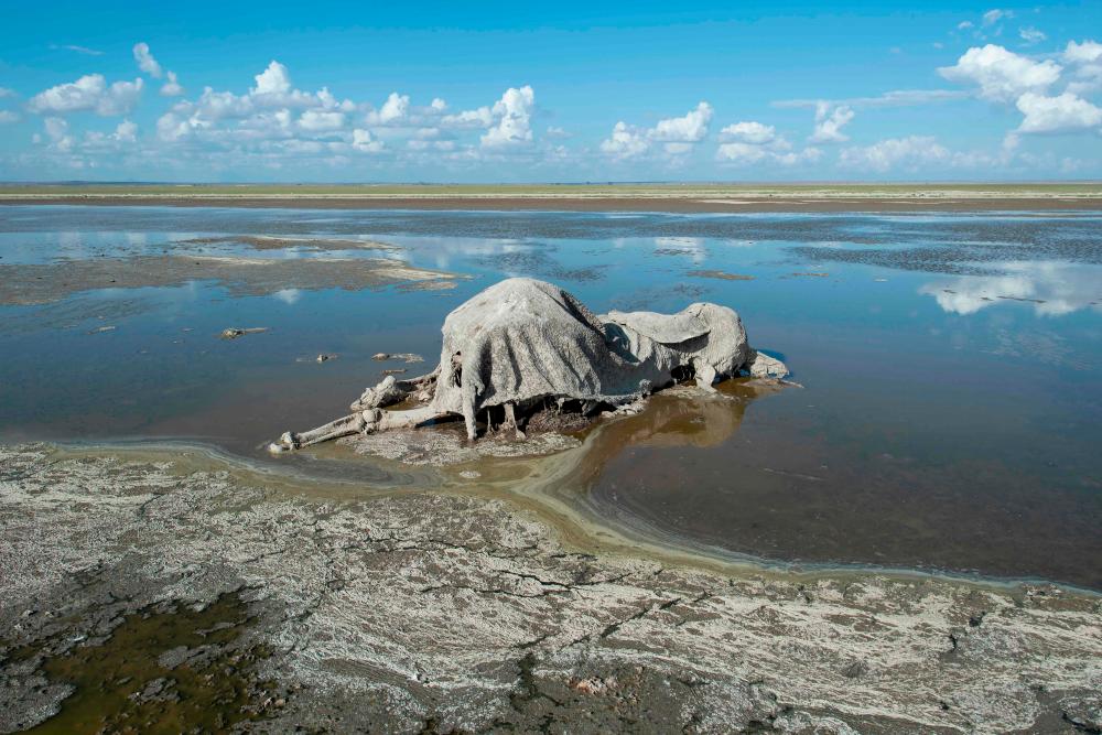 In this file photo taken on November 29, 2022 the carcass of a female Elephant lies decomposing in a shallow pond of caustic water after it succumbed to the effects of a ravaging drought at the Amboseli National Park where elephants and other major herbivores have died due to a lack of forage in Kajiado county, on the foot of Africa’s highest mountain, Mt Kilimanjaro on the foot of Mt. Kenya. AFPPIX
