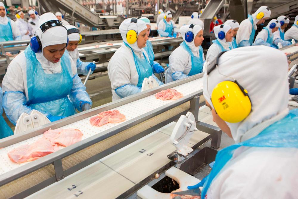 (FILES) In this file photo taken on March 21, 2017 people work at a production line of the JBS-Friboi chicken processing plant during an inspection visit from Brazilian Agriculture Minister Blairo Maggi and technicians of the ministry in Lapa, Parana State, Brazi. – AFP