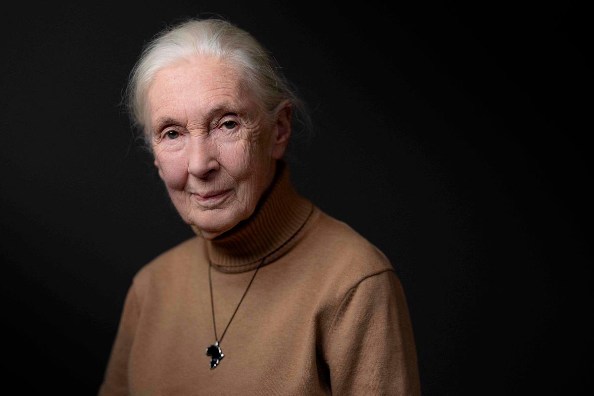 (FILES) British ethologist and primatologist Jane Goodall. - JOEL SAGET / AFP