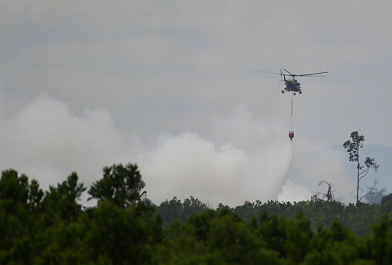 MI-17-IV helicopters drop firebombs on the 420ha burning forest site, near the Sultan Haji Ahmad Shah Maritime Academy (Amsas) at Sungai Ular.