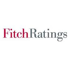 Recent volatility in Islamic finance highlights need to use effective shariah-compliant derivatives: Fitch