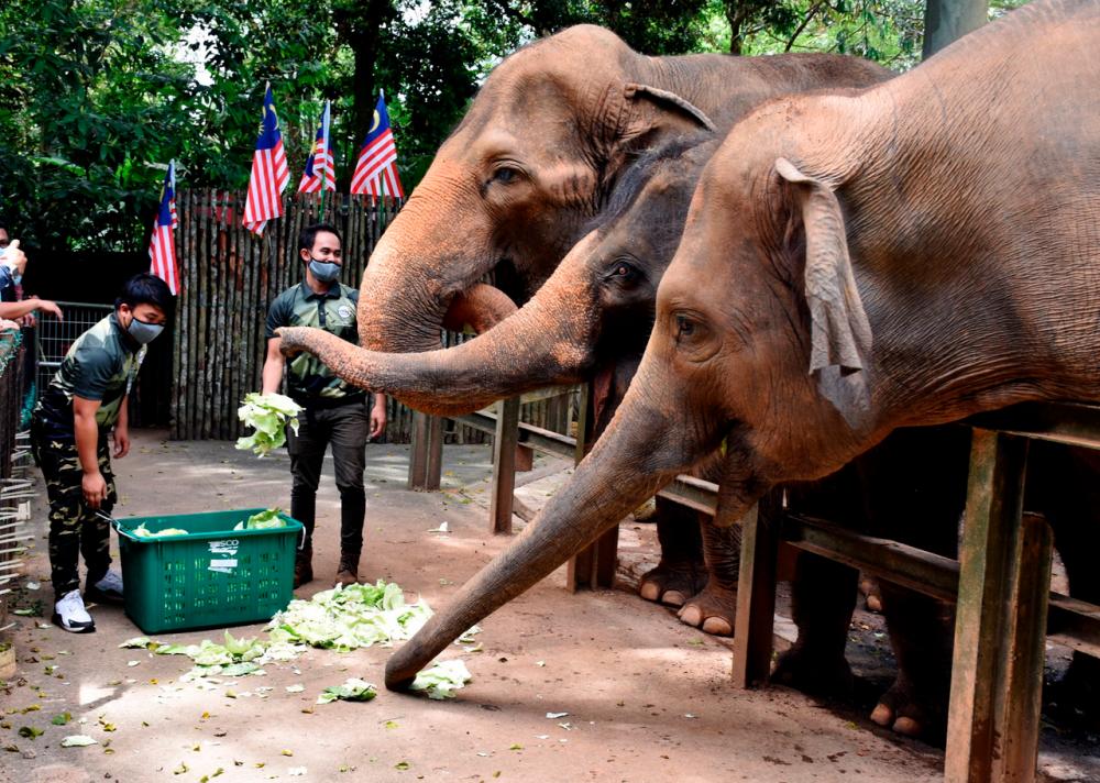 Keprihatinan masyarakat bantu kelangsungan haiwan di Zoo Melaka