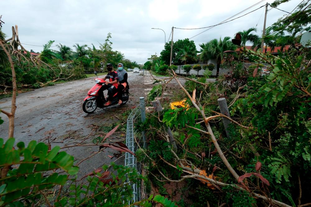 Fallen trees along the road in Taman Seroja Bandar Baru, Salak Tinggi on March 7 after a storm hit the area. - Bernama