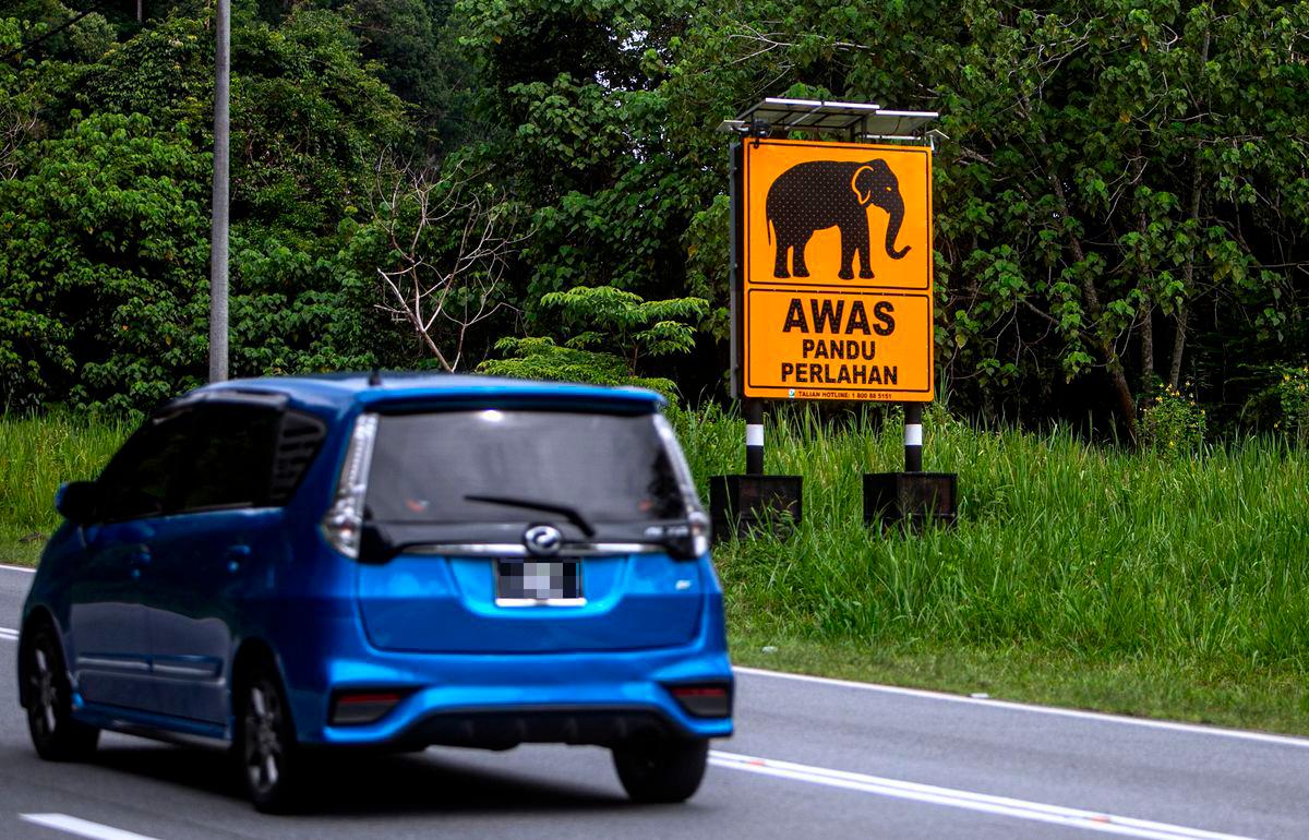 Image for visual purposes - Photo by BERNAMA