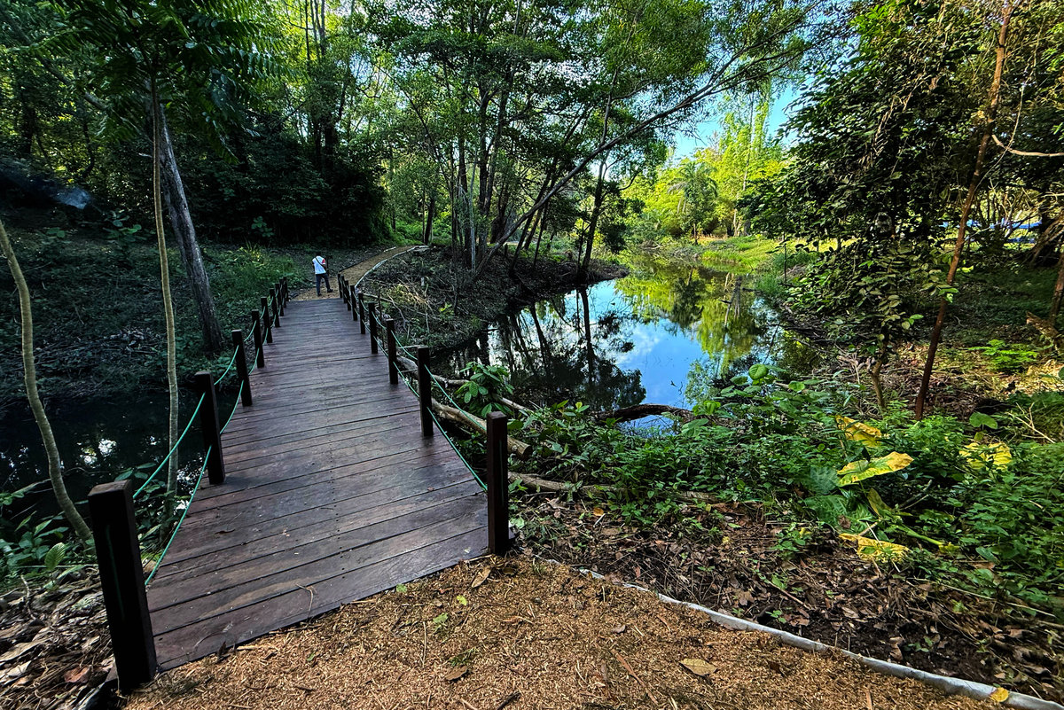 A newly completed ecology track at the Labuan Botanical Garden is now open to the public, offering a scenic and educational route for hiking and walking enthusiasts of all fitness levels.