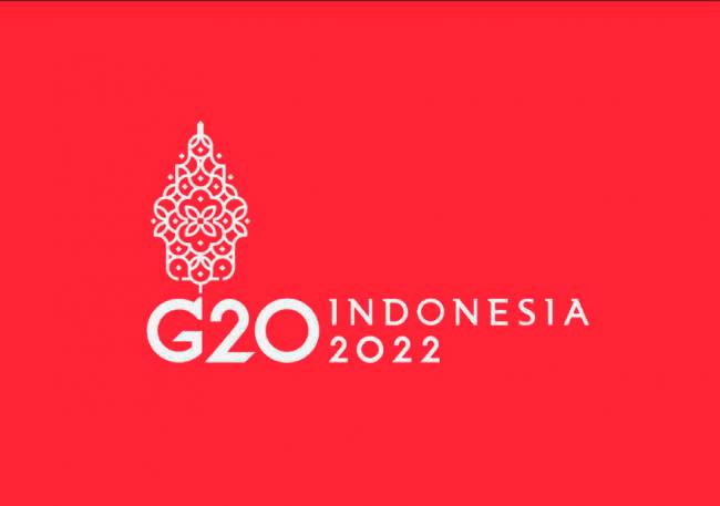 Leaders of China, Russia to attend G20 summit in Indonesia