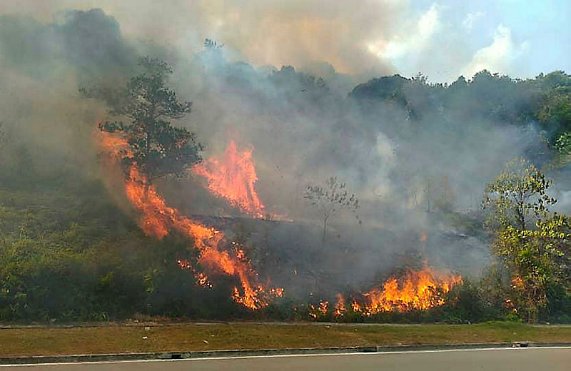 Filepix taken on Aug 14, of the raging forest fire in Gelang Patah near Iskandar Puteri. — Bernama
