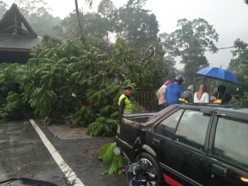 Residents of Gombak 17th Mile homes rush to see the damage inflicted by the fallen tree. — Pix from Hilman Idham’s Facebook.