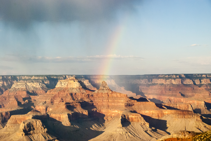 Even the Grand Canyon has been forced to close due to the coronavirus pandemic.