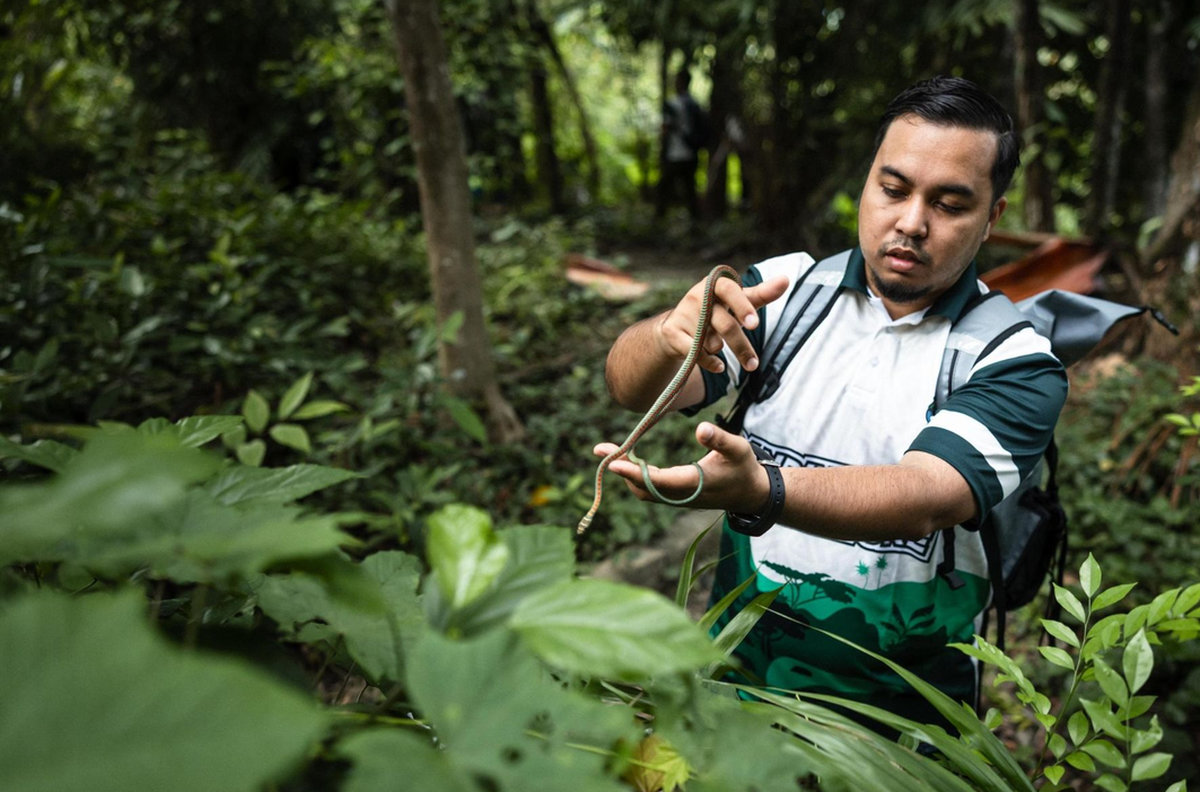 Lebih 500 spesies biodiversiti dijumpai menerusi Banding Trail Adventure 2025. - BERNAMA