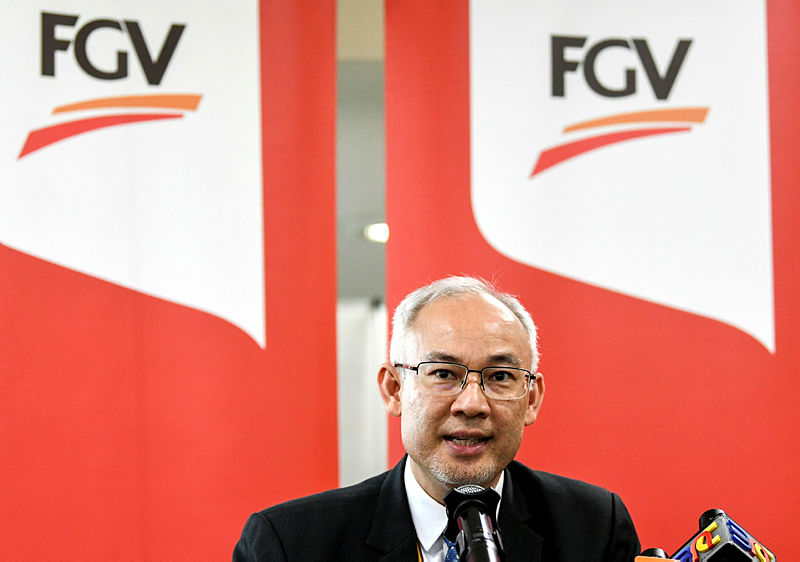 No report on FGV’s subsidiaries involvement in open burning: CEO