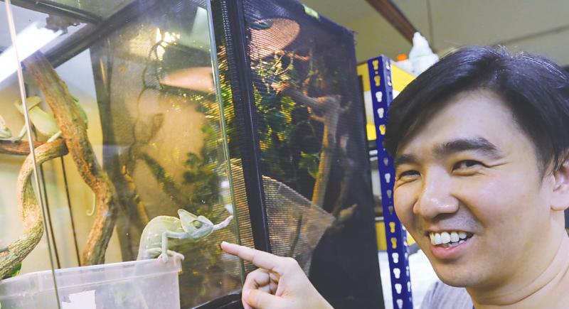 Yong says iguanas are popular among his customers. — Sunpix by Asyraf Rasid