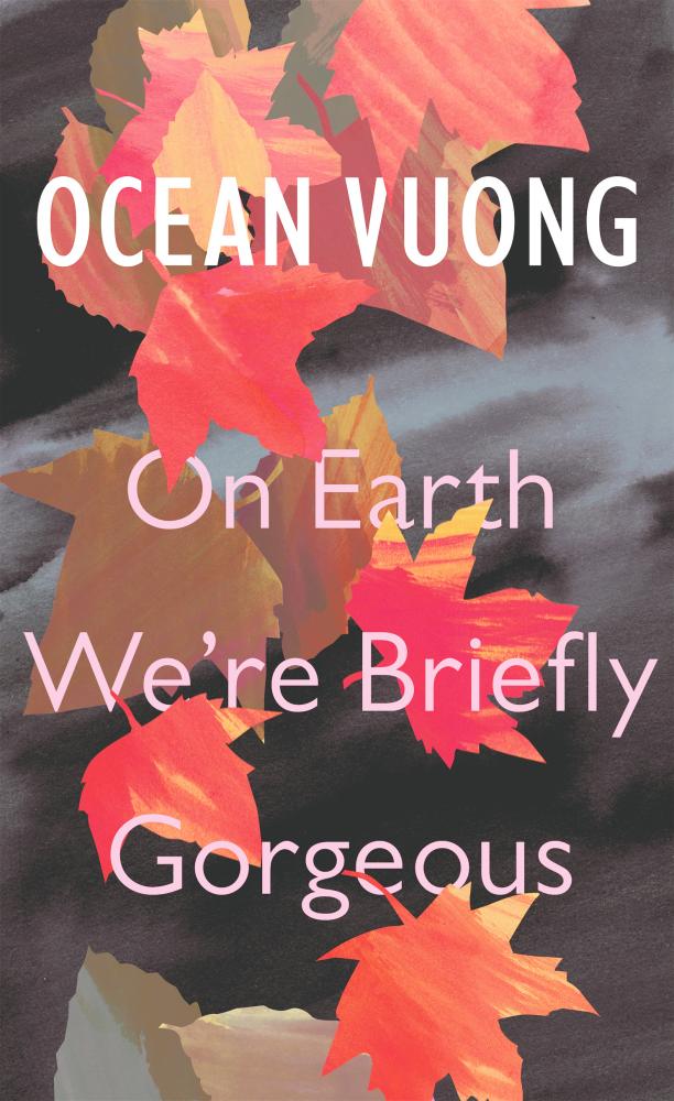 On Earth We Are Briefly Gorgeous book cover