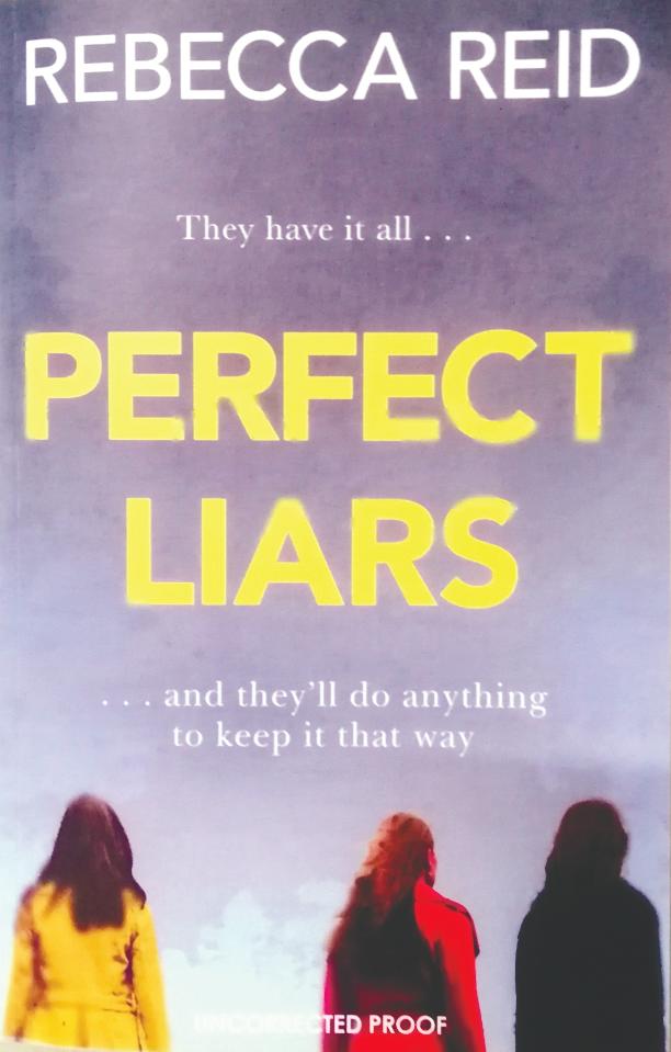 Book review: Perfect Liars