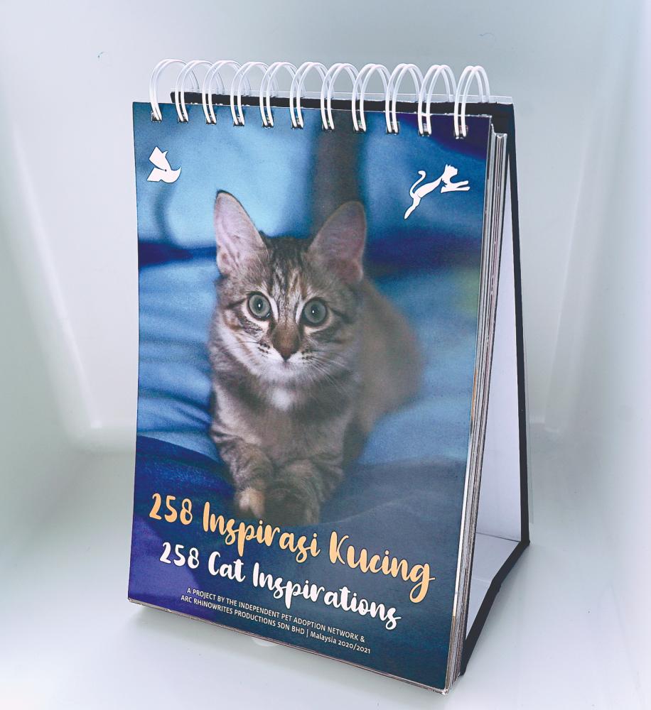 258 Cat Inspirations Book