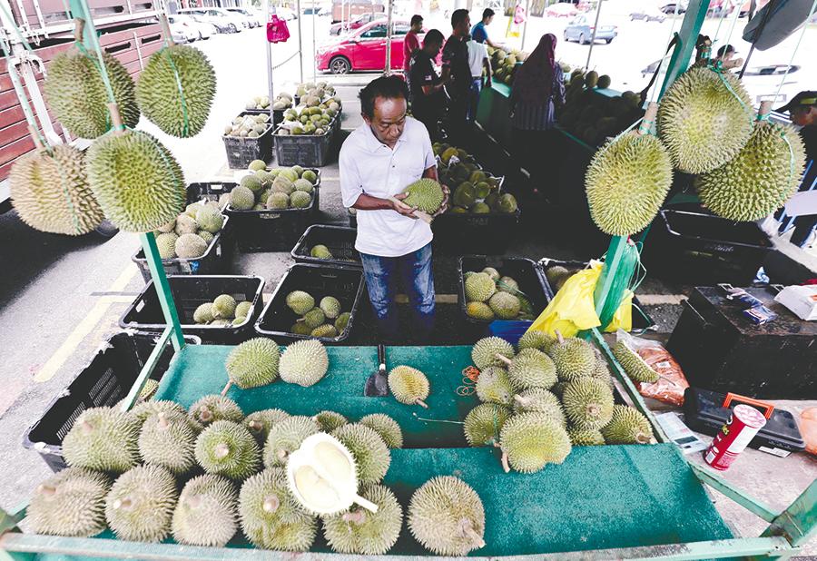 $!POPULAR FRUIT ... Farmers and traders are rejoicing as the recovery movement control order has come just in time for the durian season. – ZAHID IZZANI/THESUN