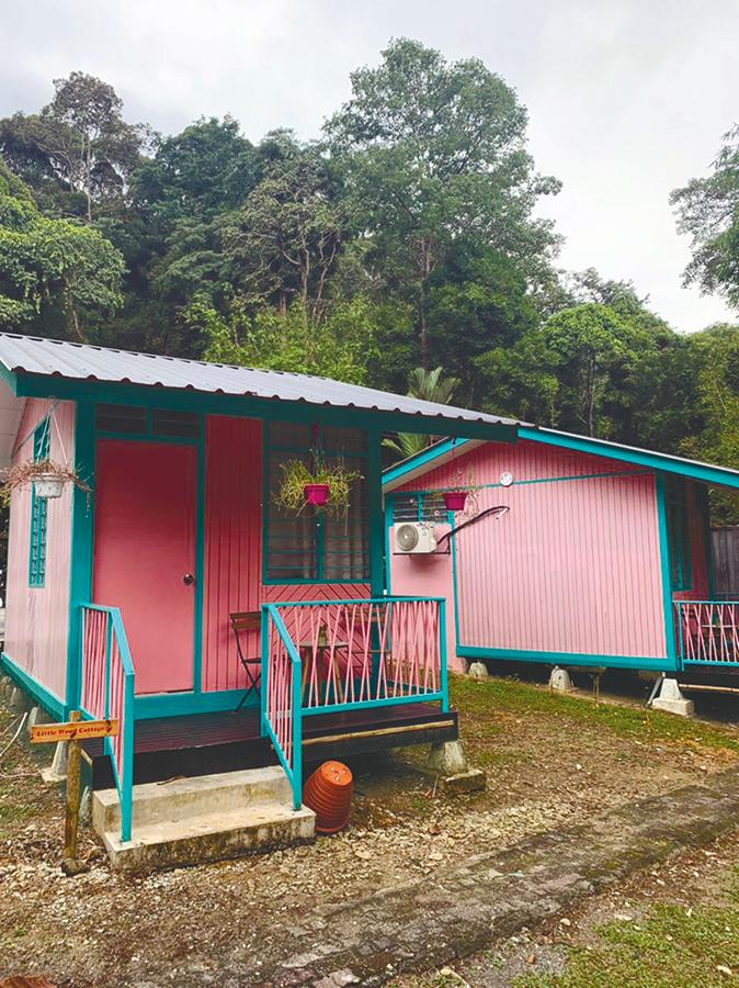 $!Little Wood Cottage. – HAZIQUE ZAIRILL/THESUN